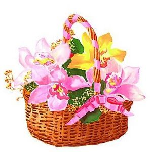 Meet your Posher, Kathy